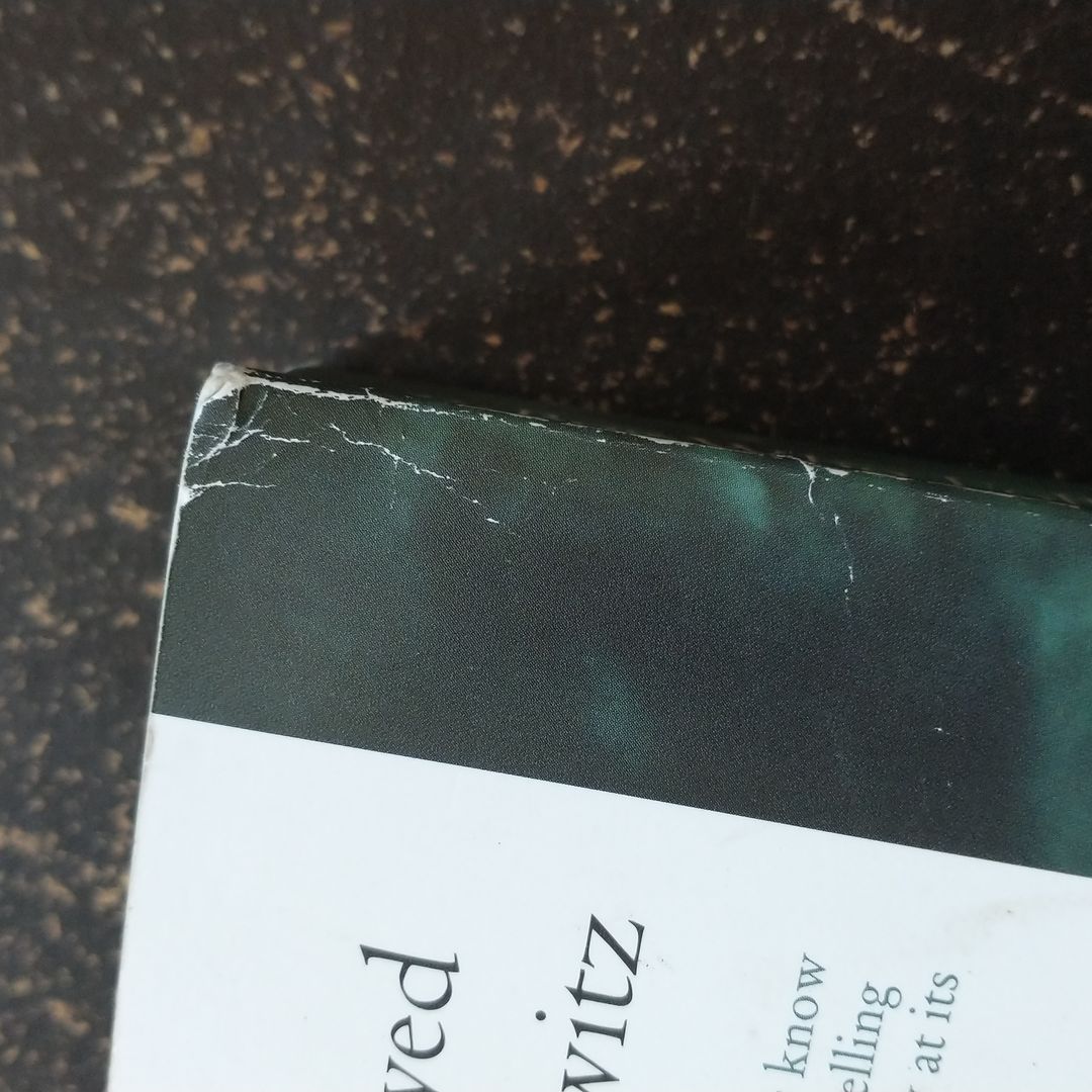 The Boy Who Followed His Father into Auschwitz