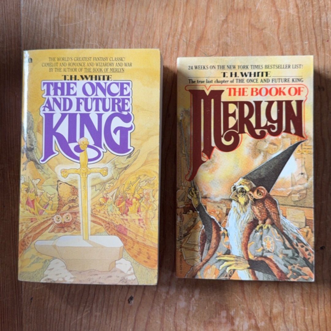 The Once and Future King
