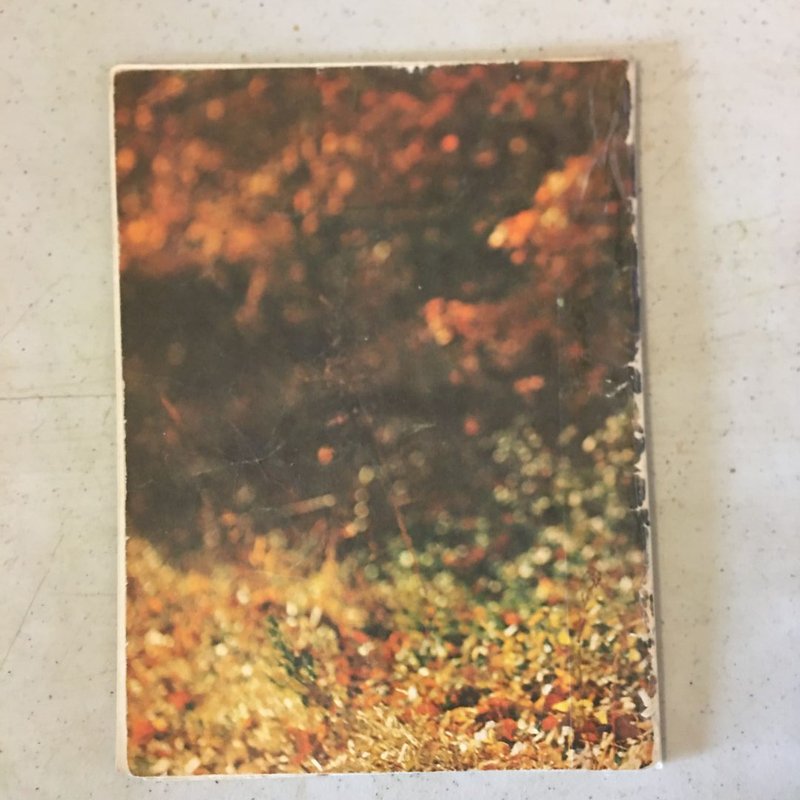 Fall Is Here-Winter Is Here