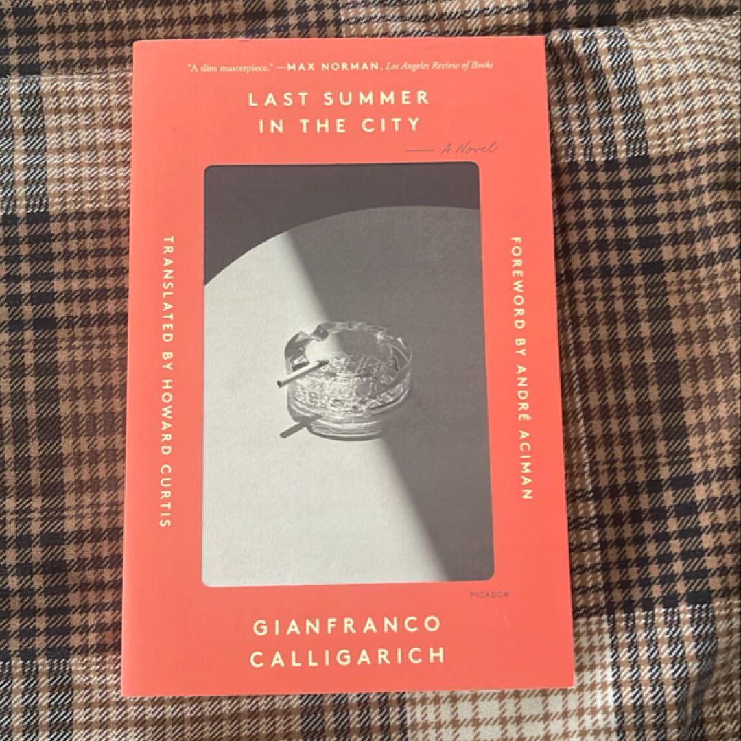 Last Summer in the City