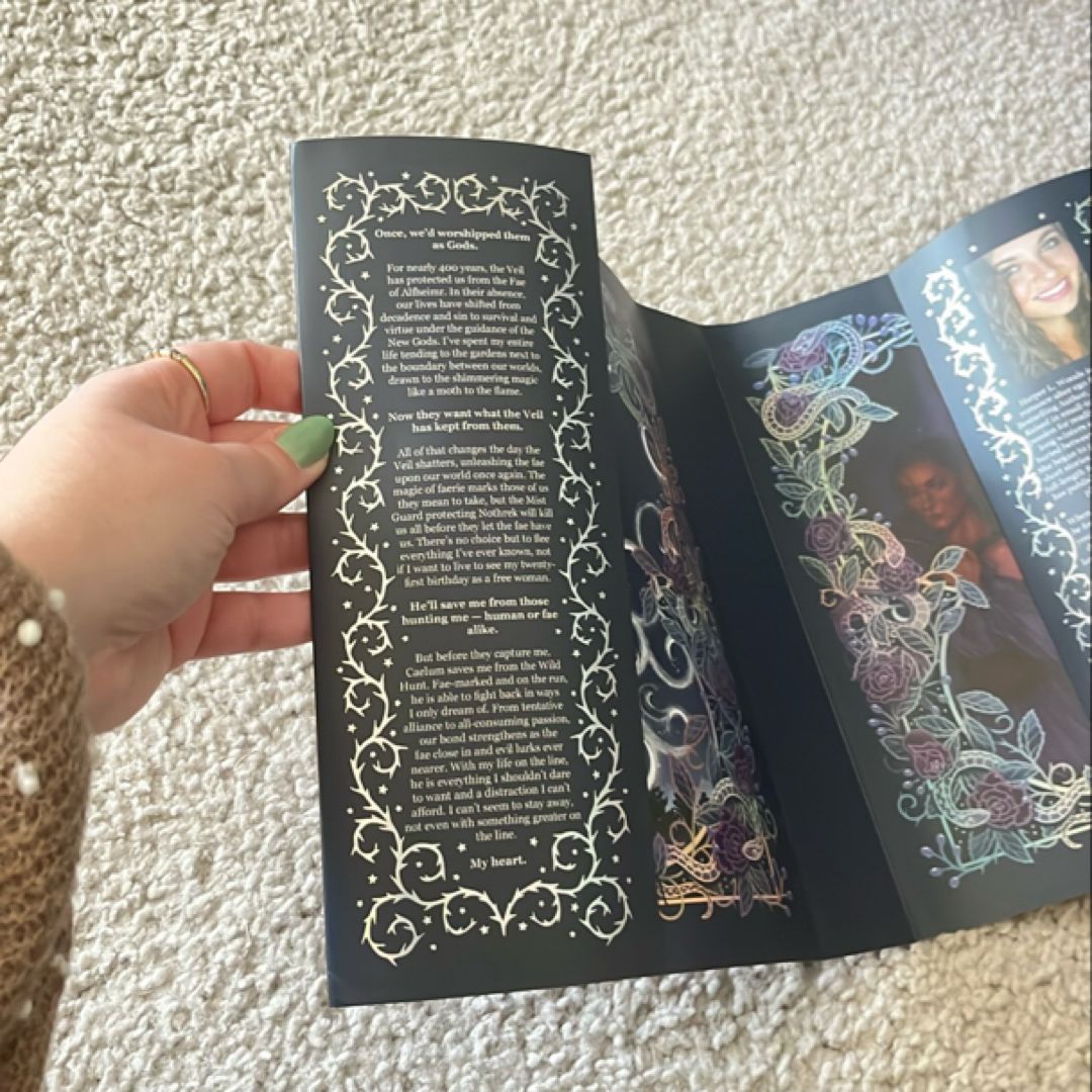 What lies beyond the Veil bookish box exclusive edition jacket
