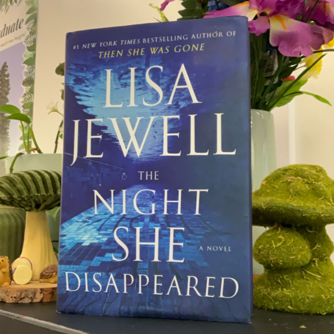 The Night She Disappeared