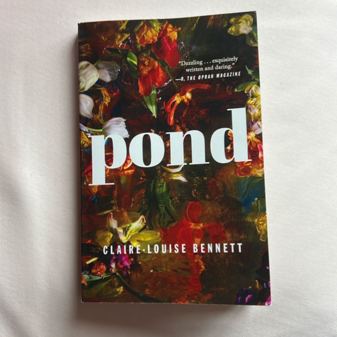 Pond