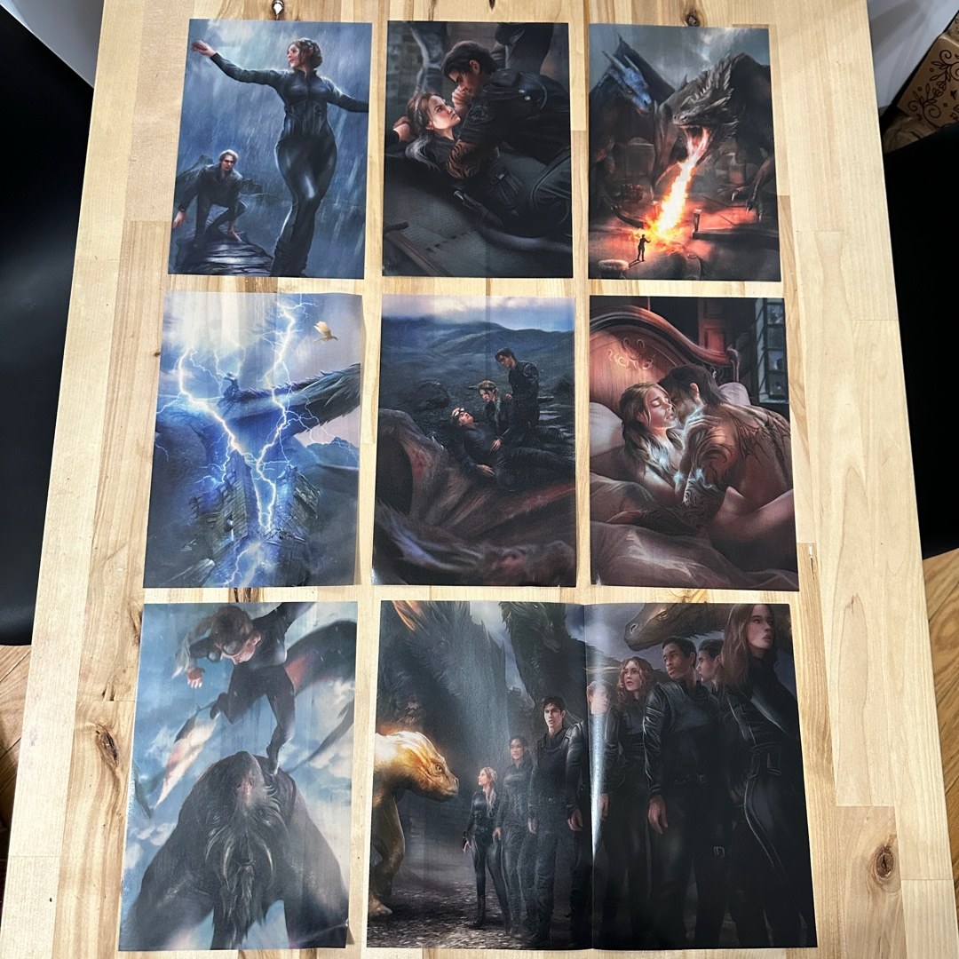 Fourth Wing Page Overlays