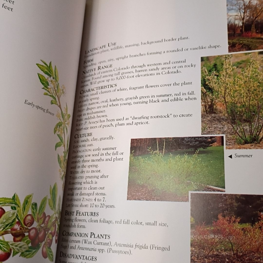 Xeriscape Plant Guide