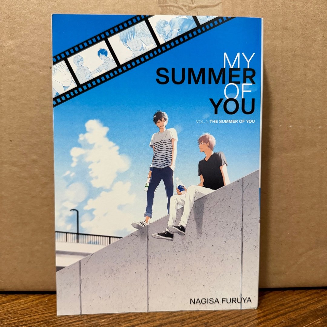 The Summer of You (My Summer of You Vol. 1)