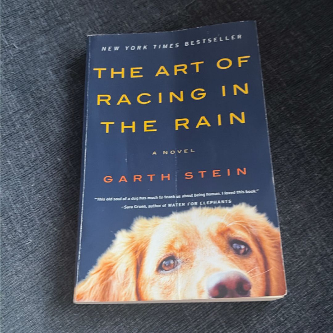 The Art of Racing in the Rain