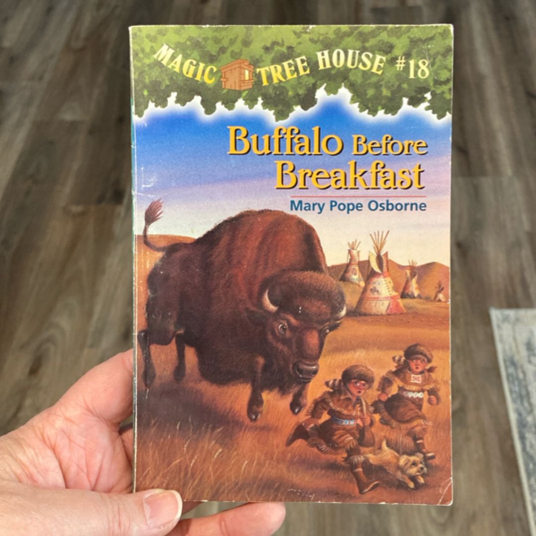 Buffalo Before Breakfast