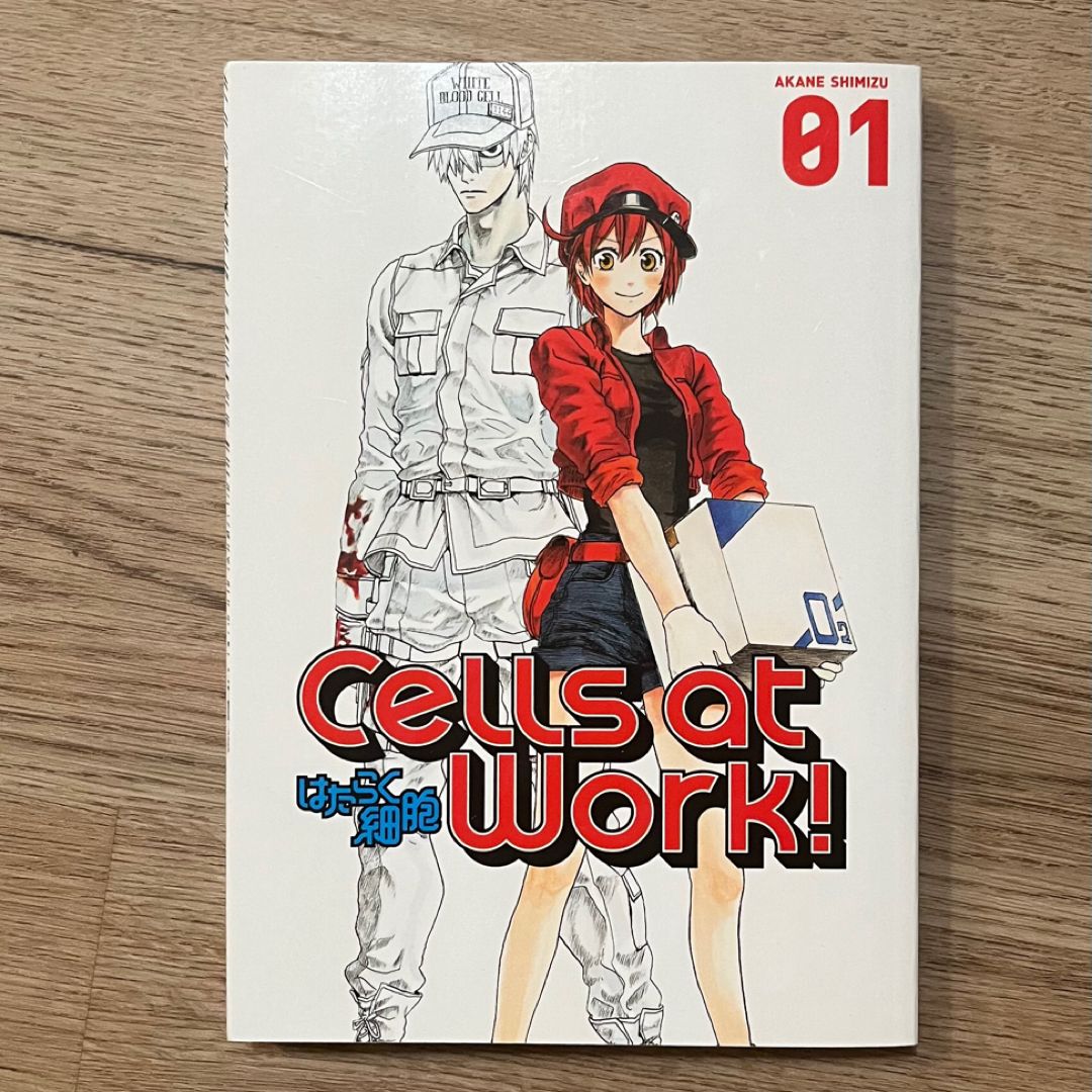 Cells at Work!
