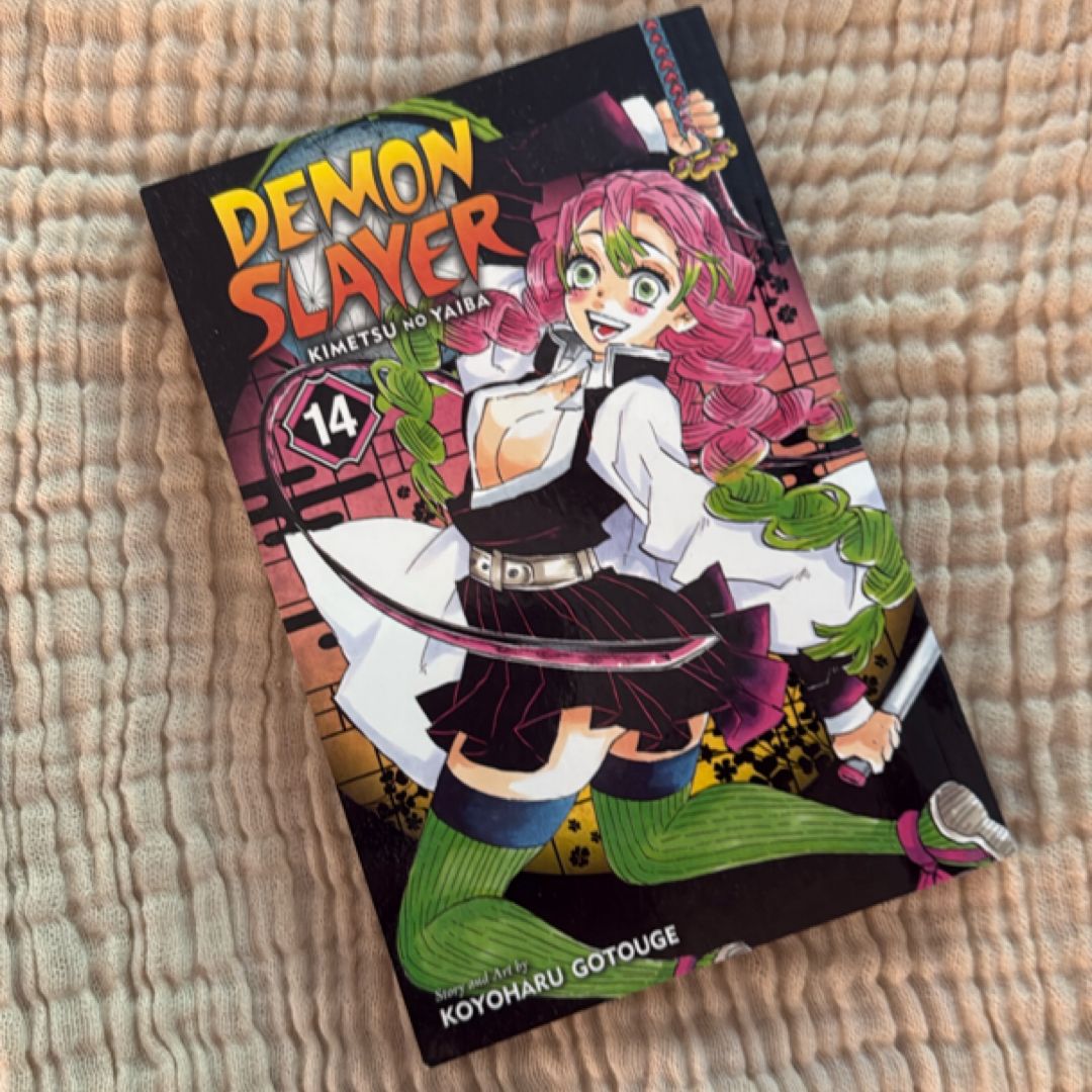 Demon Slayer: Kimetsu No Yaiba, Vol. 14