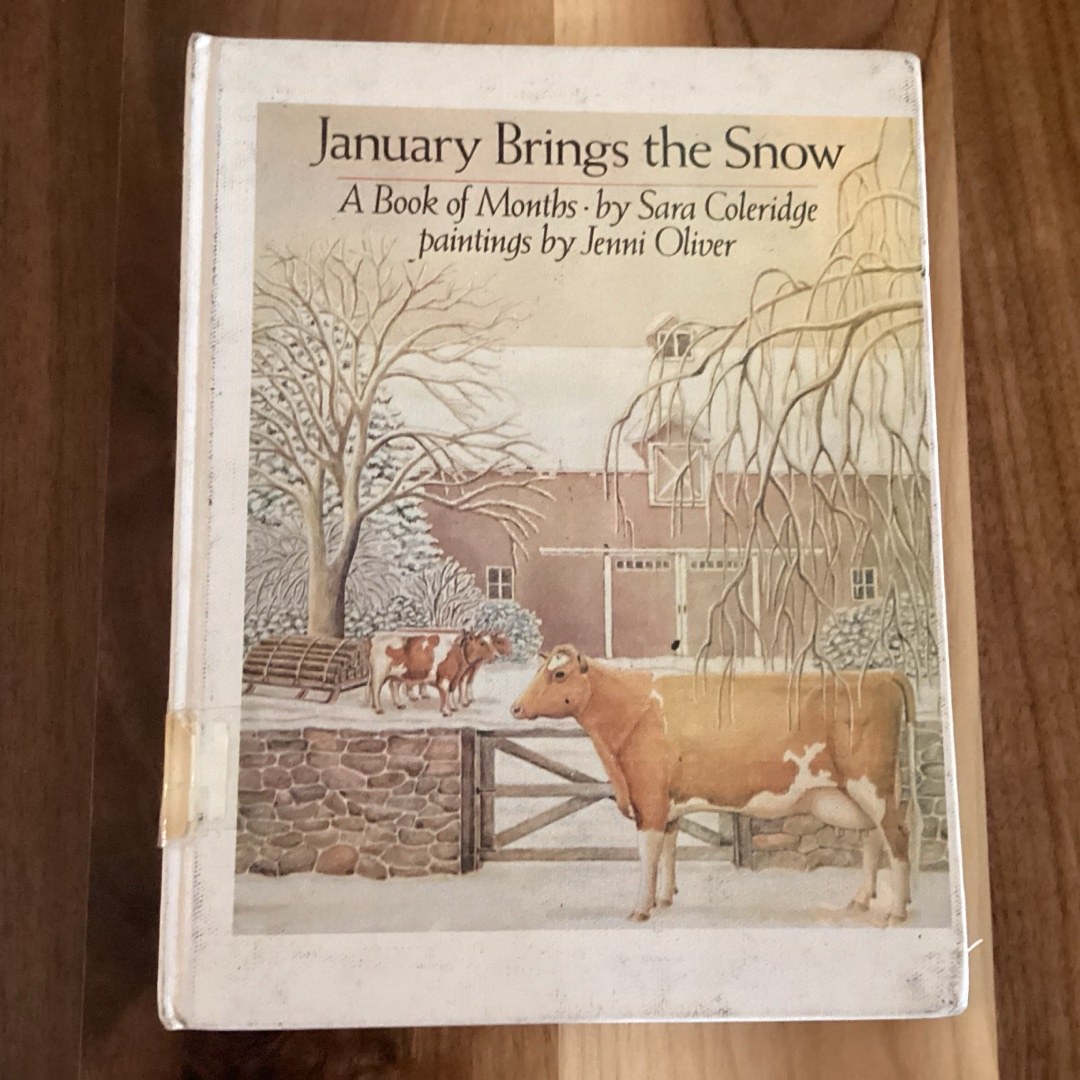 January Brings the Snow