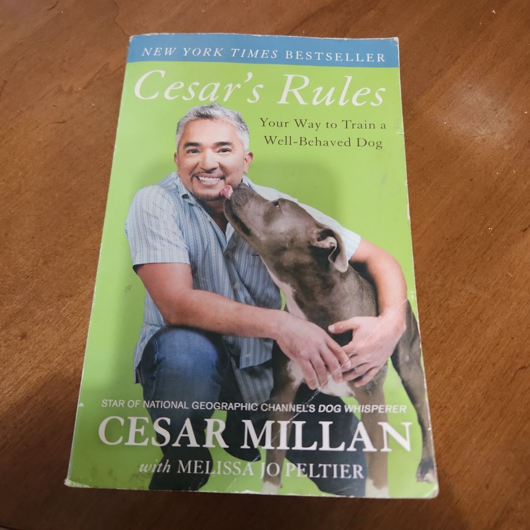 Cesar's Rules