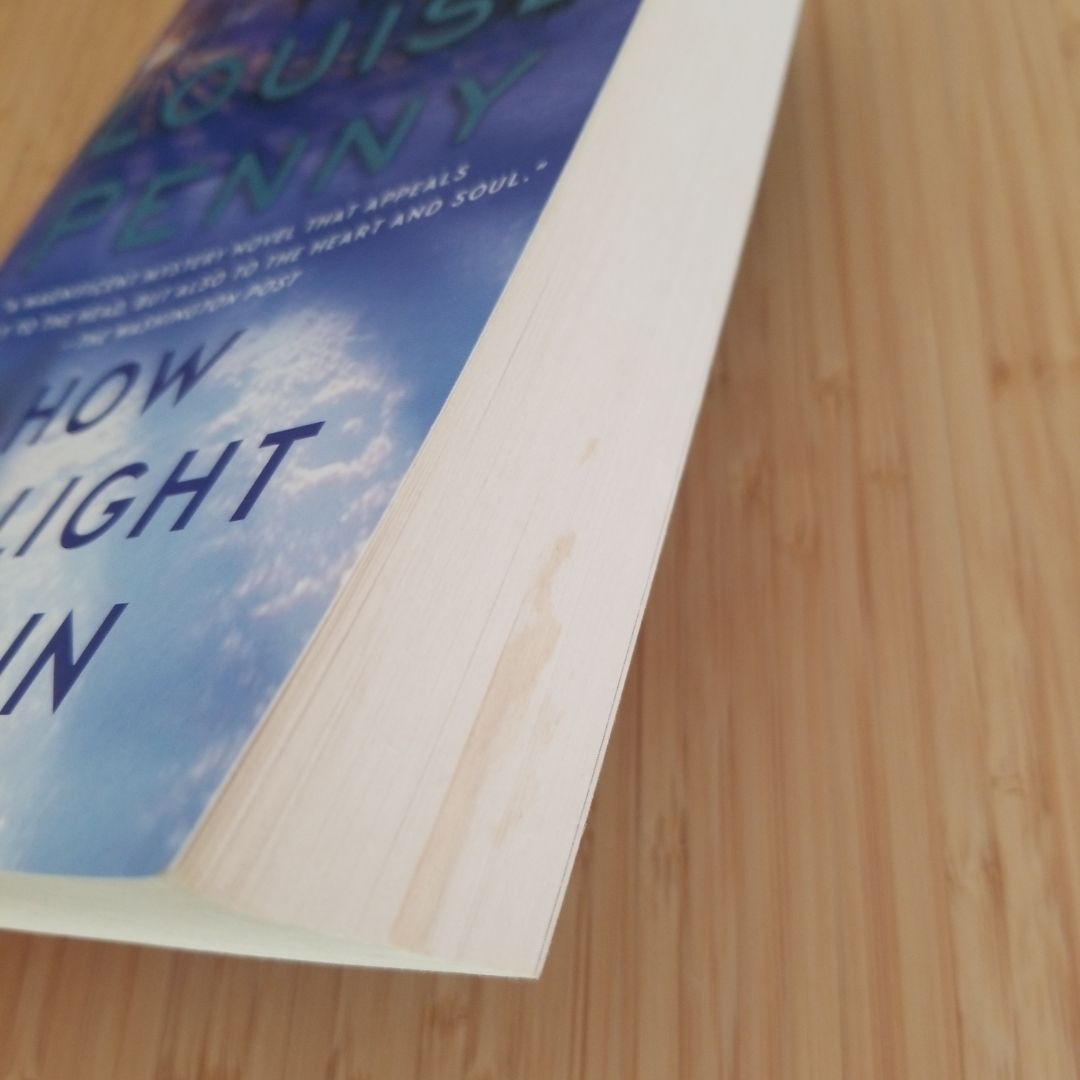 How the Light Gets In