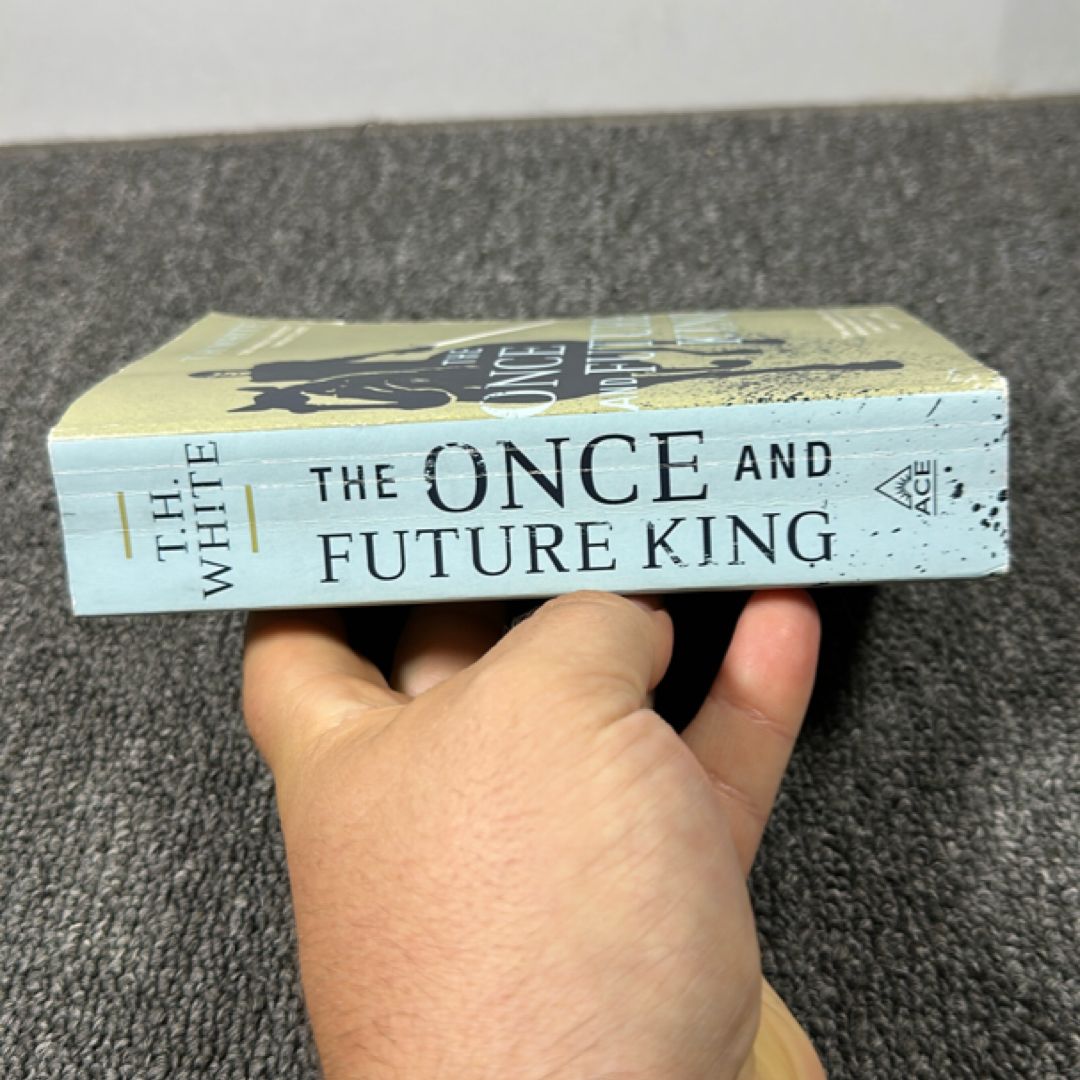 The Once and Future King by T. H. White, Paperback | Pangobooks