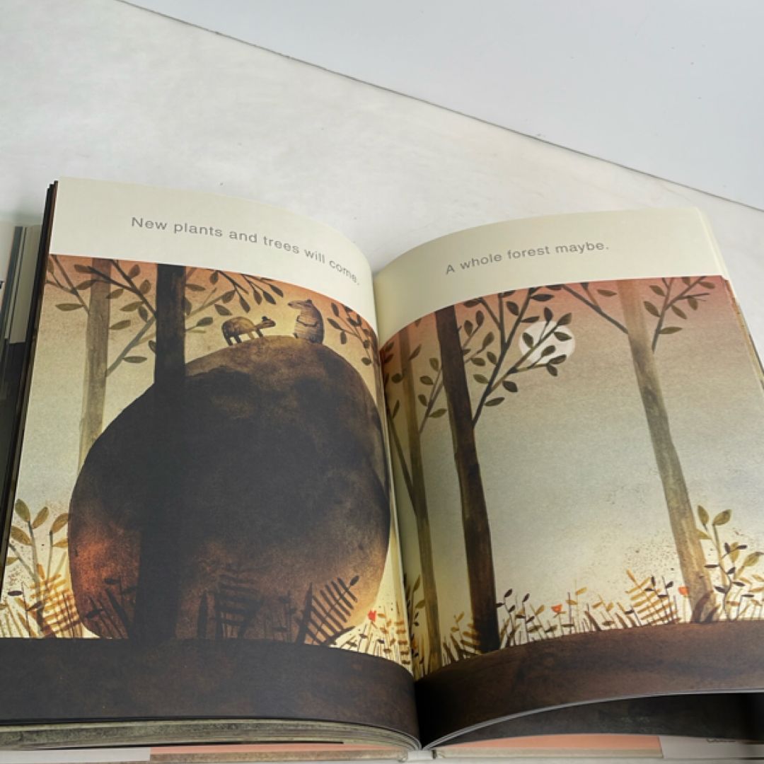 The Rock from the Sky