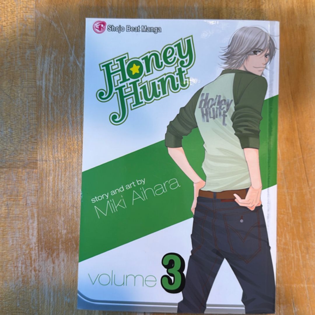 Honey Hunt, Vol. 3