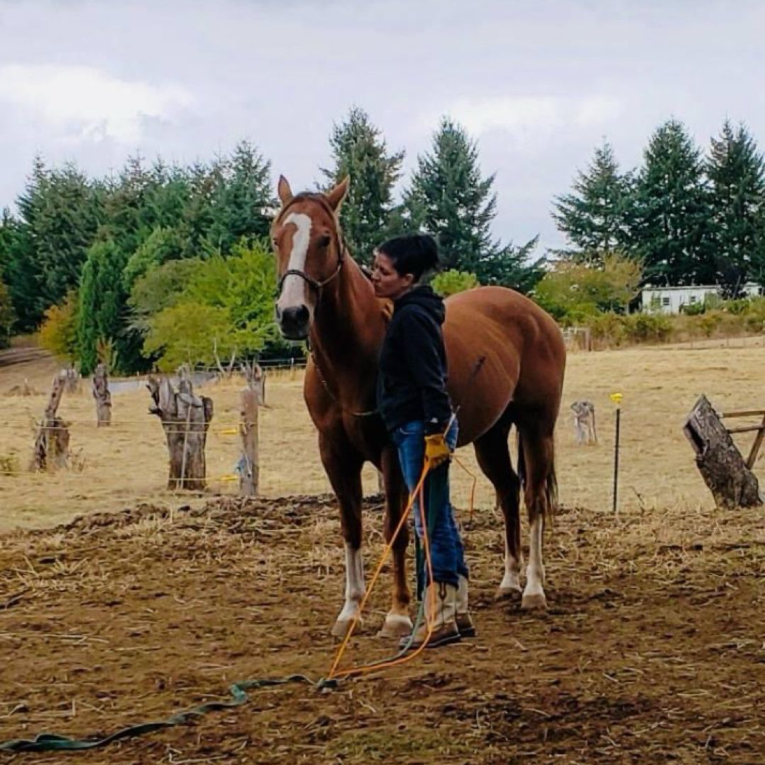 GoneCountry Book Boutique AK