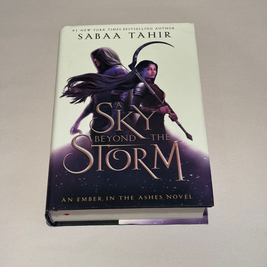 A Sky Beyond the Storm