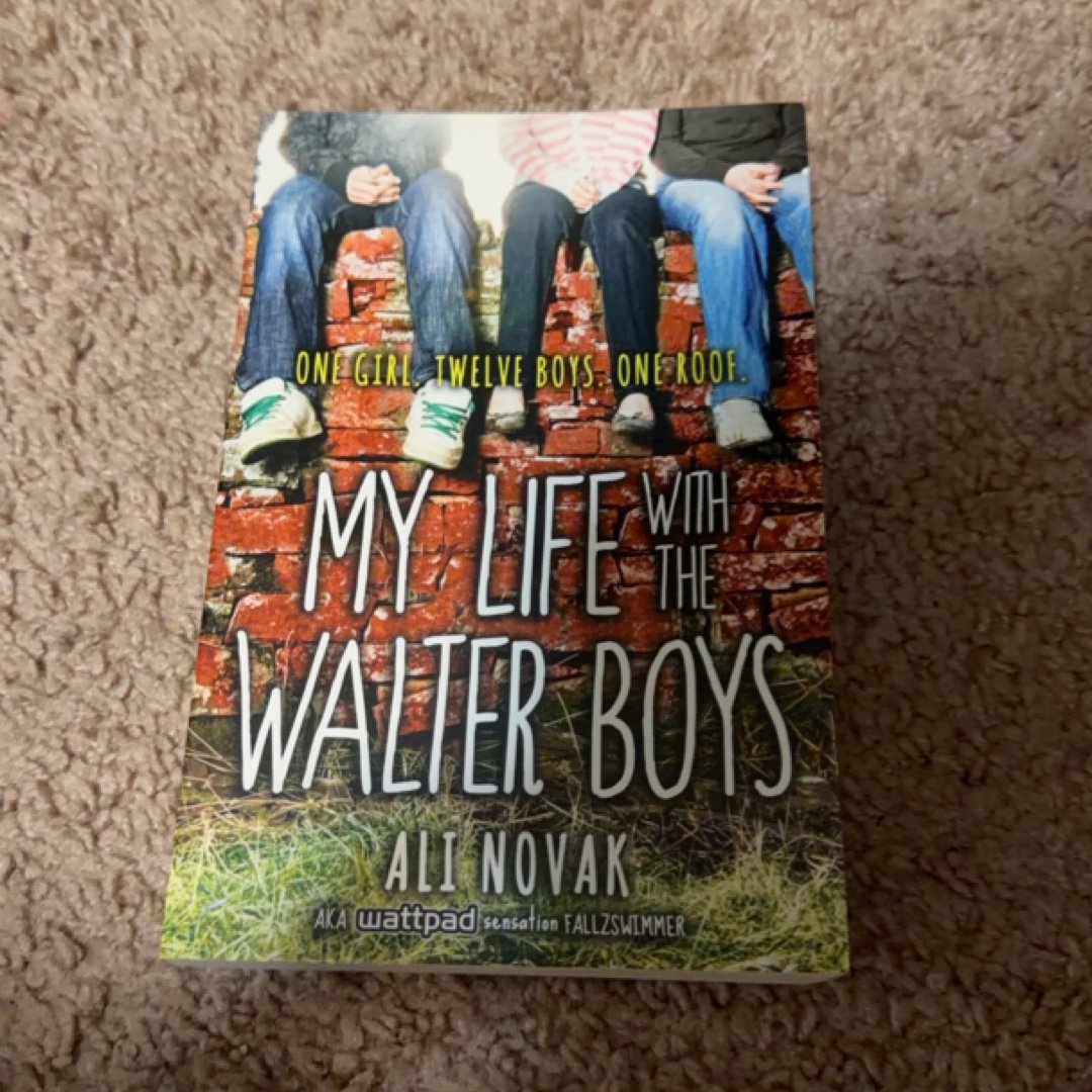 My Life with the Walter Boys