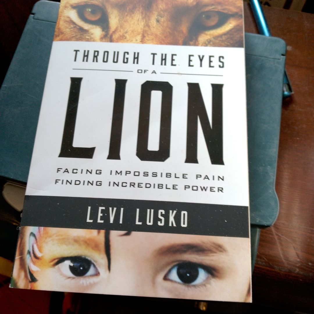 Through the Eyes of a Lion