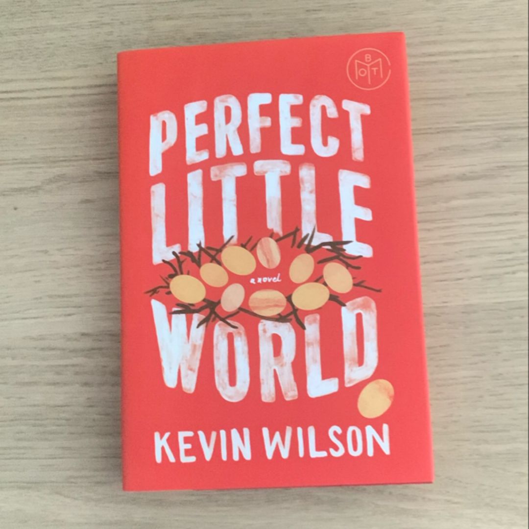 Perfect Little World