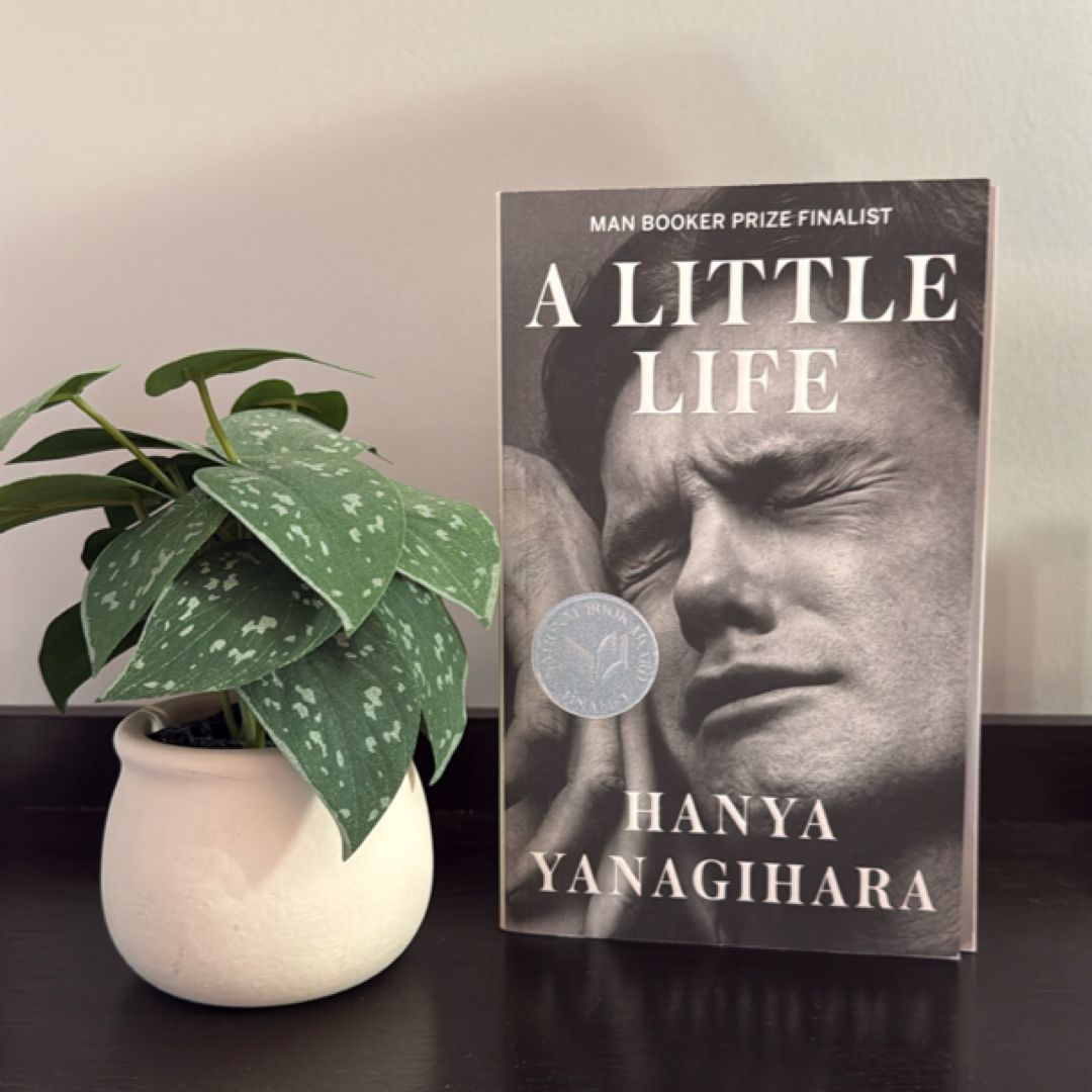 A Little Life