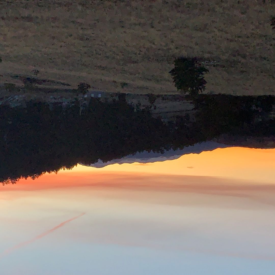 Books With Altitude (Most  Benefiting  Guffey Fire Auxiliary)