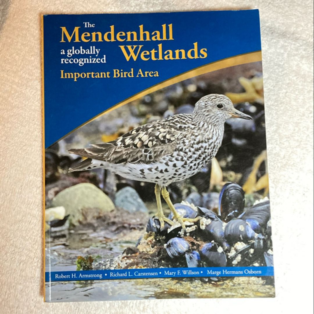 The Mendenhall Wetlands 26C