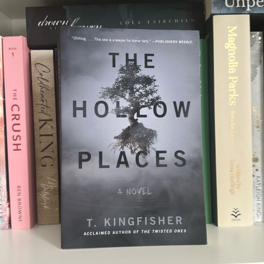 The Hollow Places
