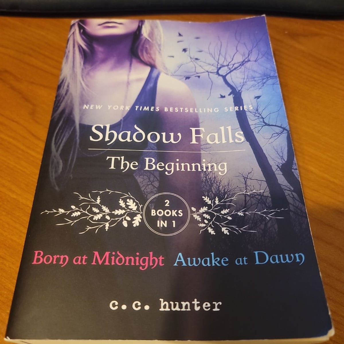 Shadow Falls: the Beginning by C. C. Hunter