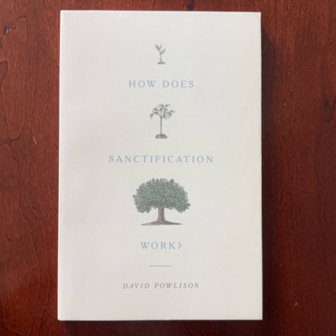 How Does Sanctification Work?