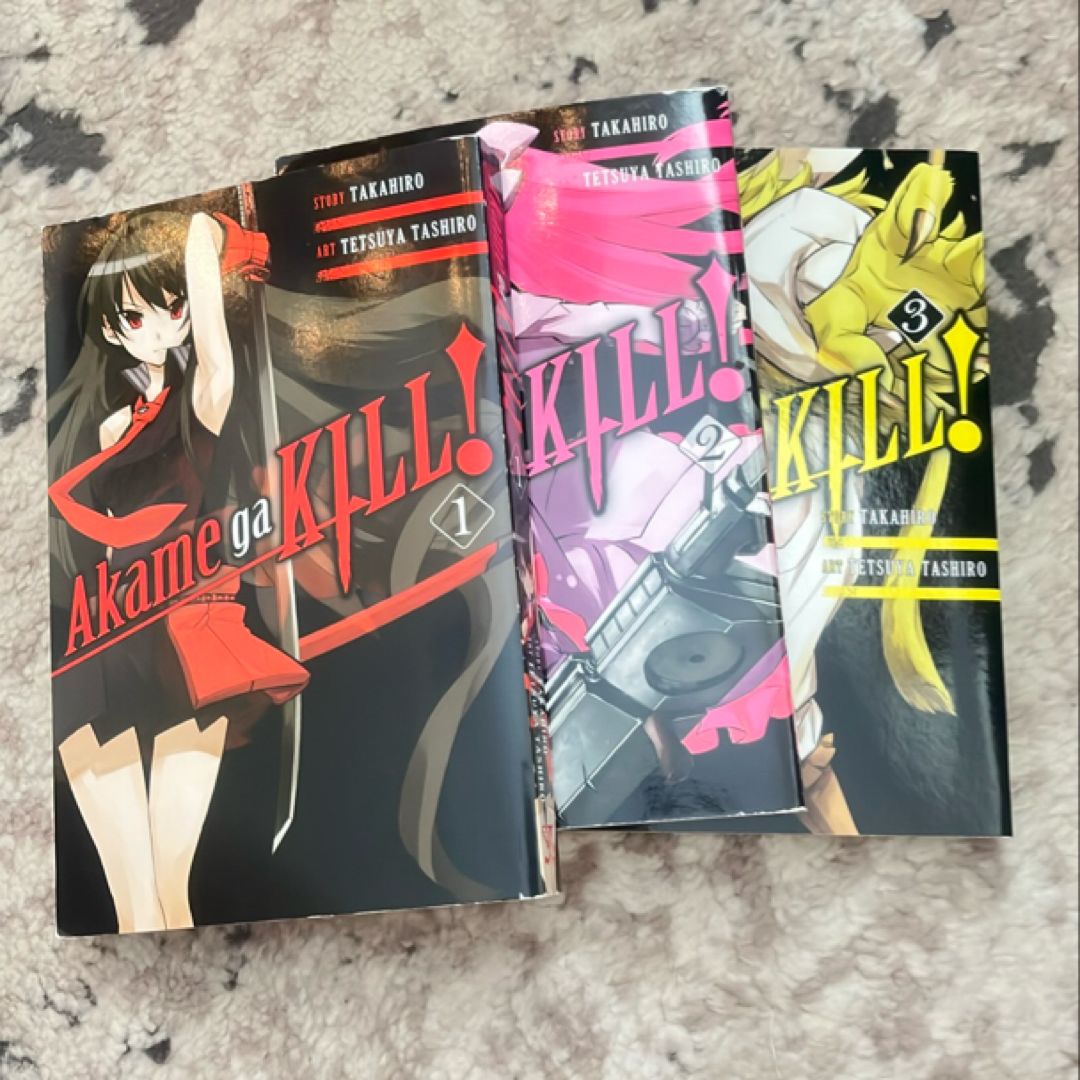 Akame Ga KILL!, Vol. 13