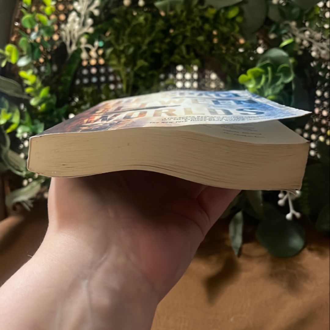 The Space Between Worlds