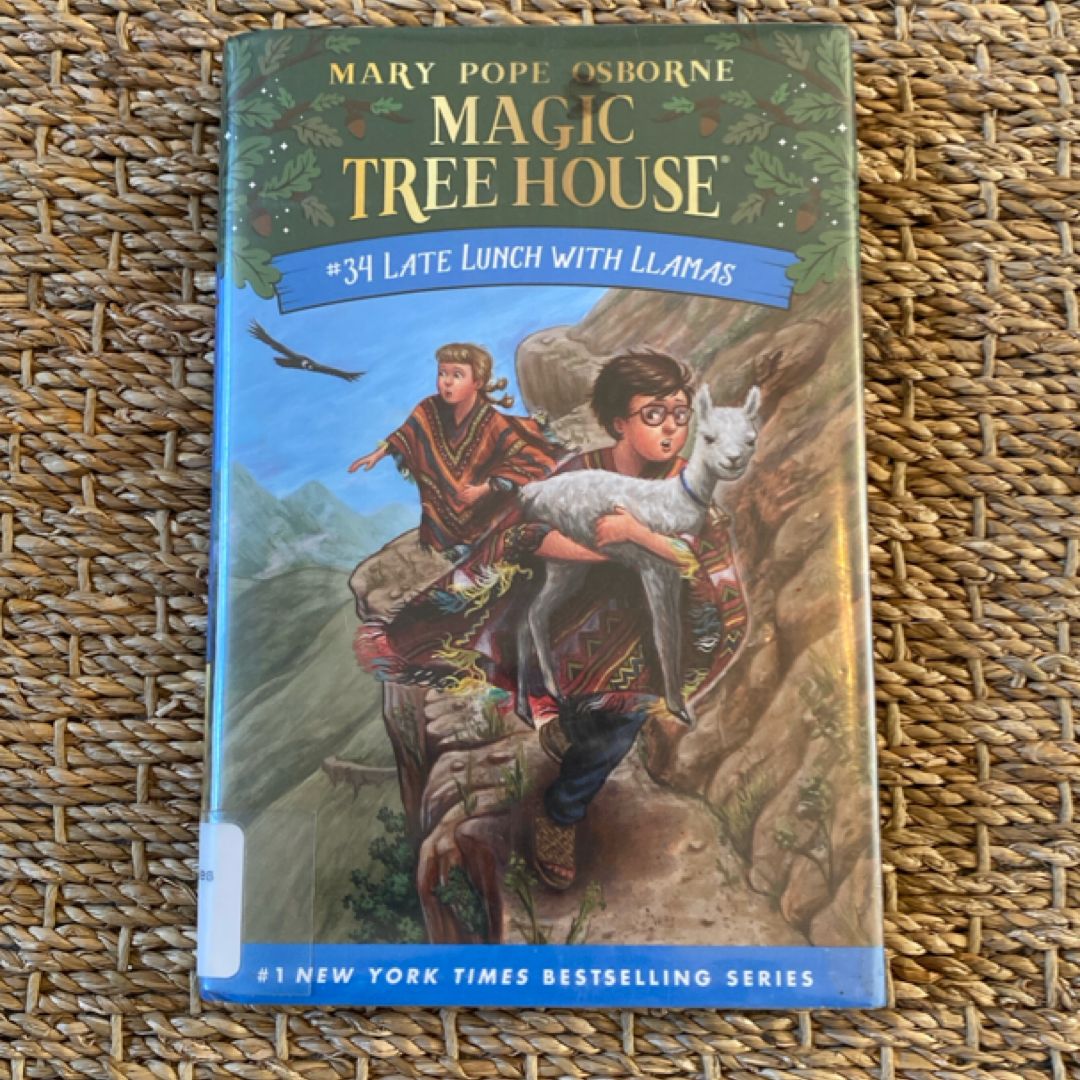 Late Lunch with Llamas