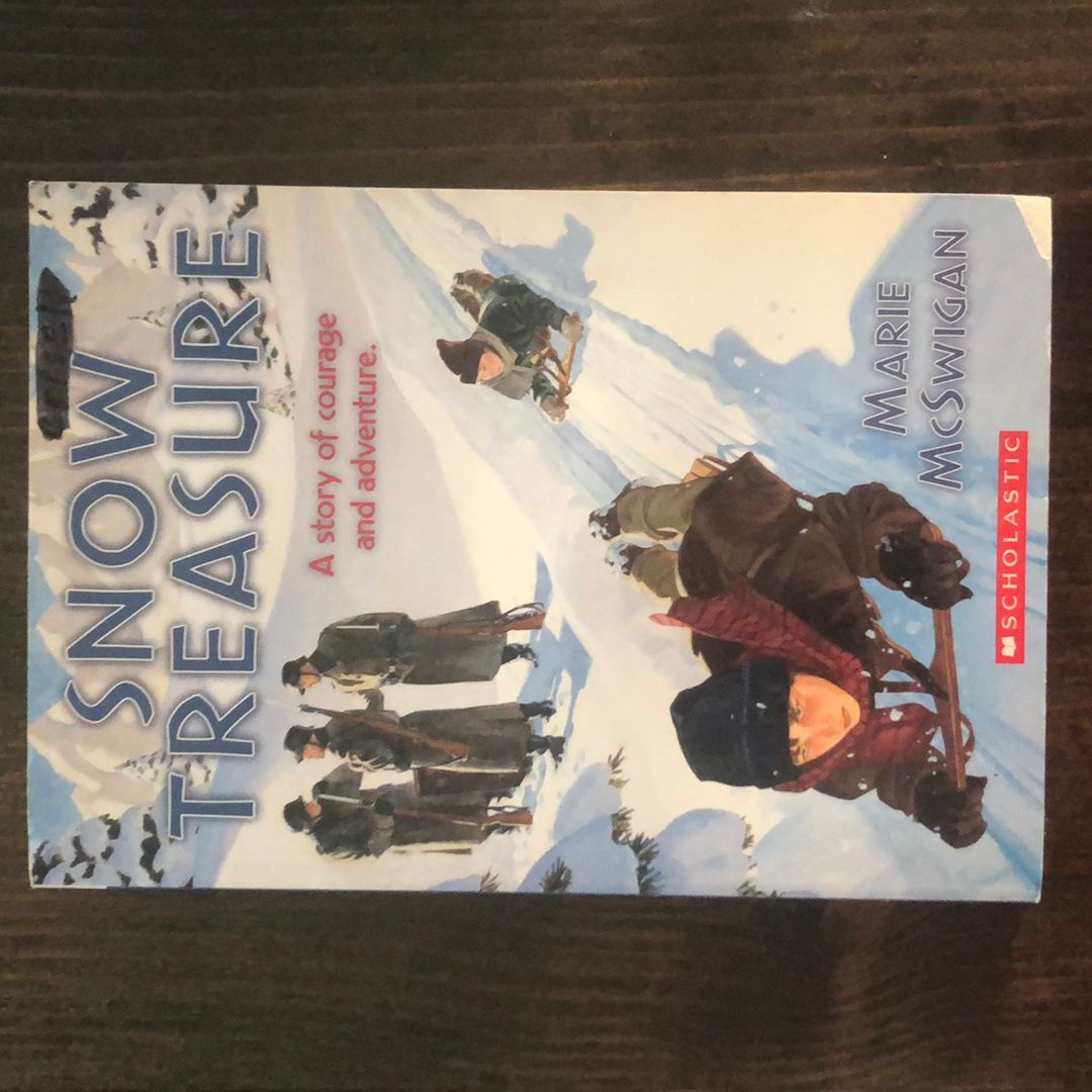 Snow Treasure