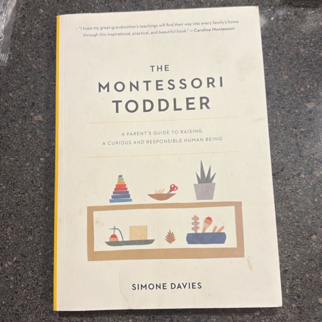 The Montessori Toddler