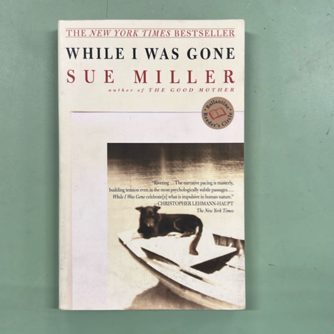 While I Was Gone