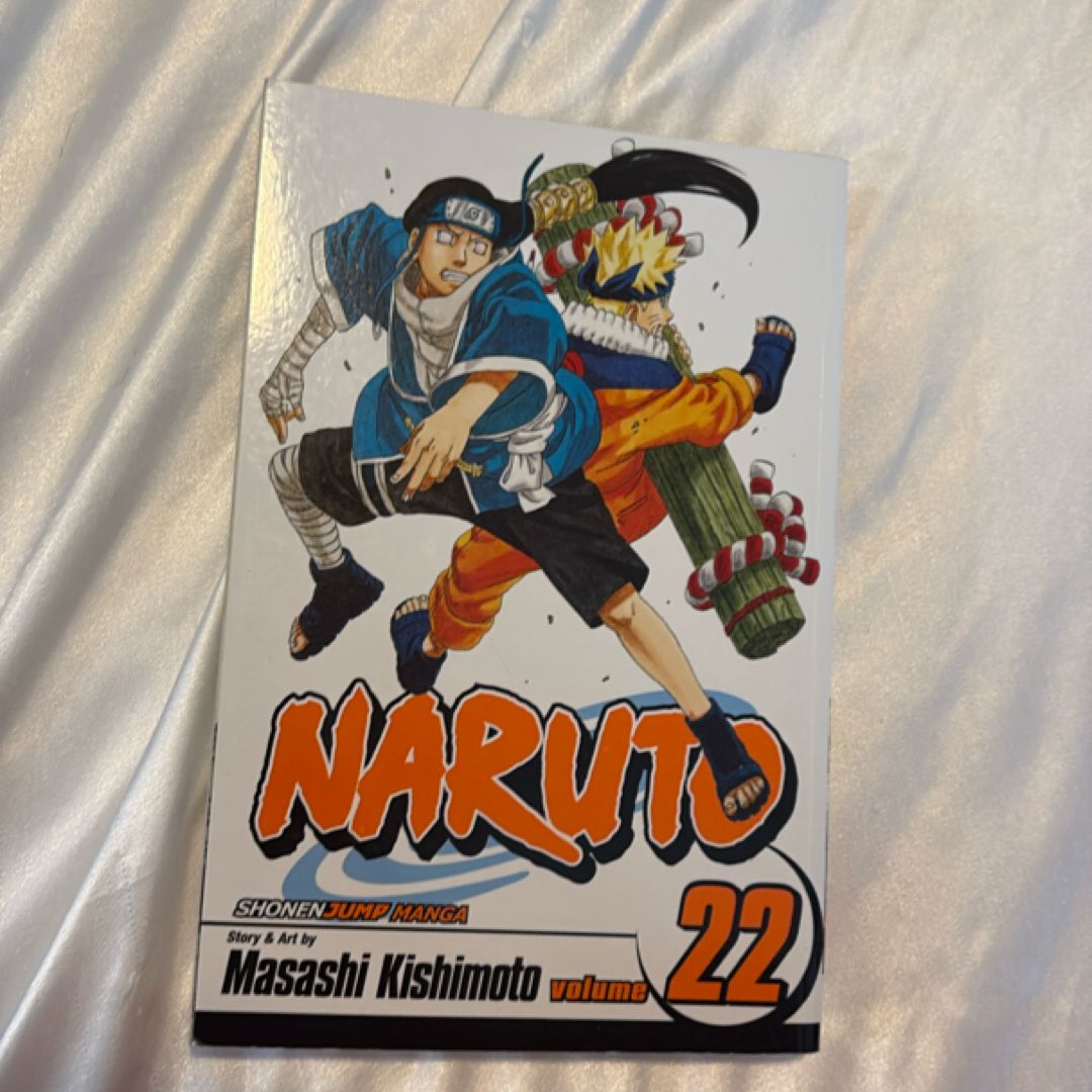 Naruto, Vol. 22