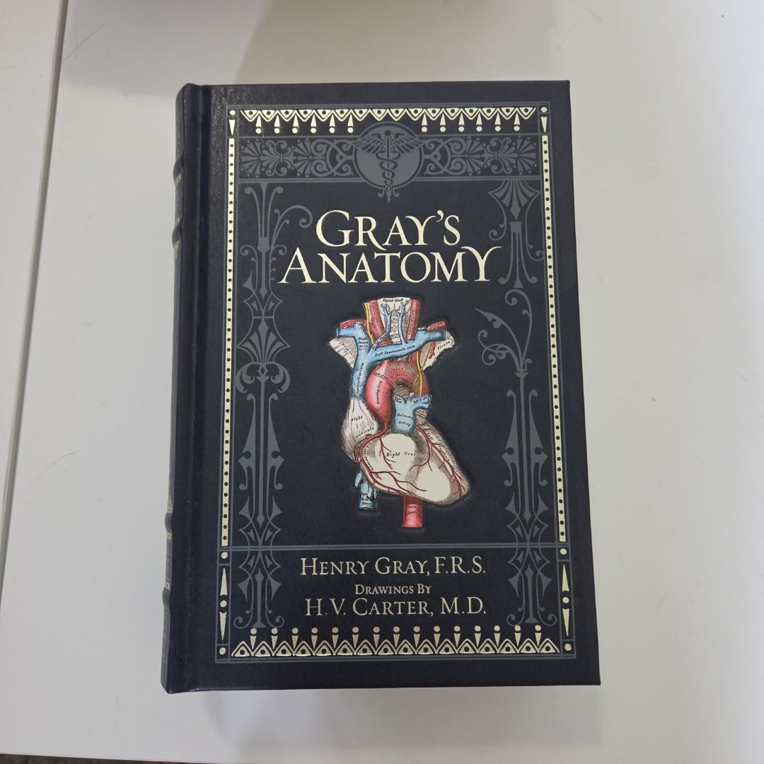 Gray's Anatomy (Barnes and Noble Collectible Classics: Omnibus Edition)