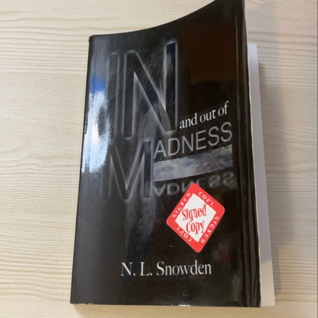 In and Out of Madness A Fictionalized Account of a True Experience