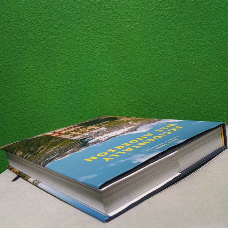 Accidentally Wes Anderson