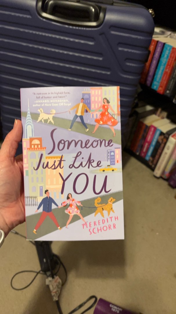 Someone Just Like You