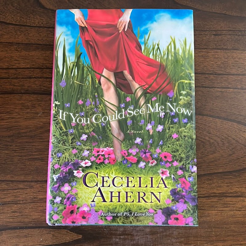 If You Could See Me Now