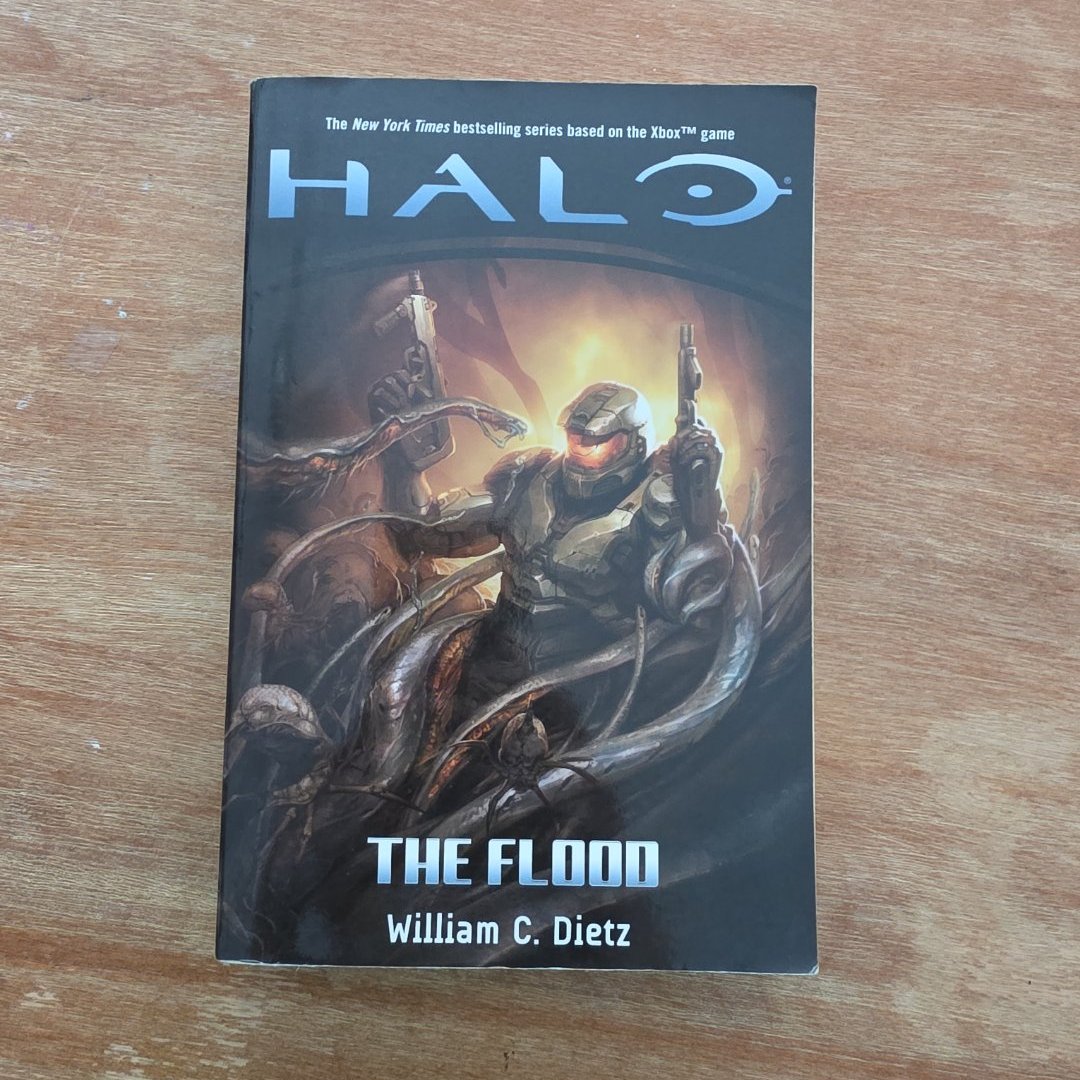 The Flood