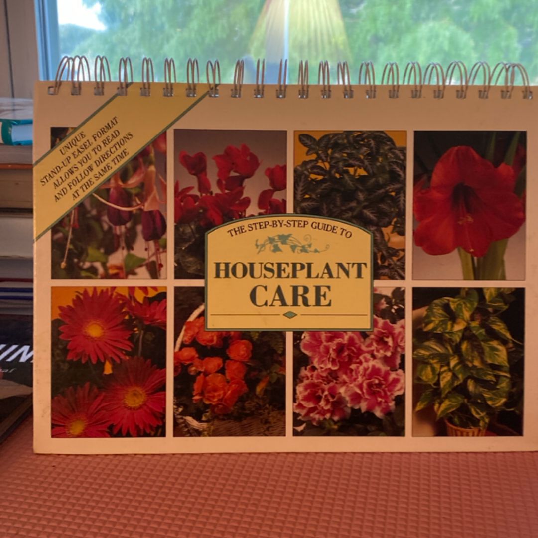 The Step-By-Step Guide to Houseplant Care