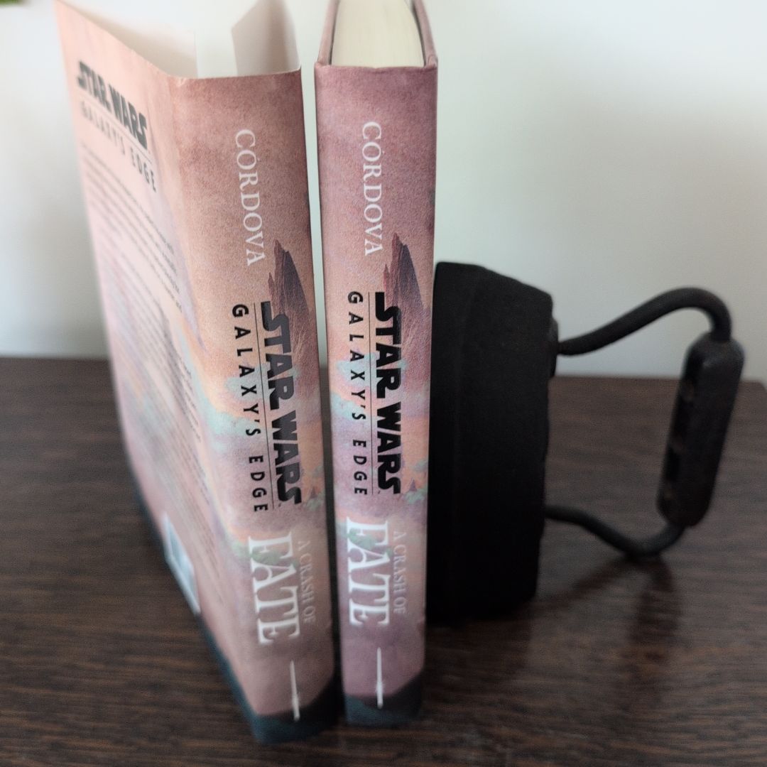 Star Wars: Galaxy's Edge a Crash of Fate