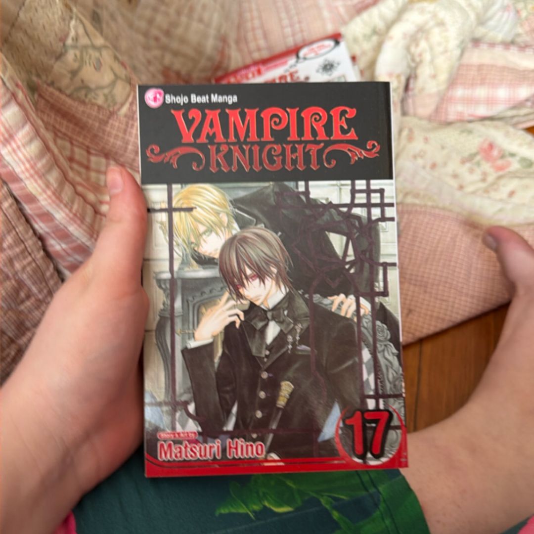 Vampire Knight, Vol. 17