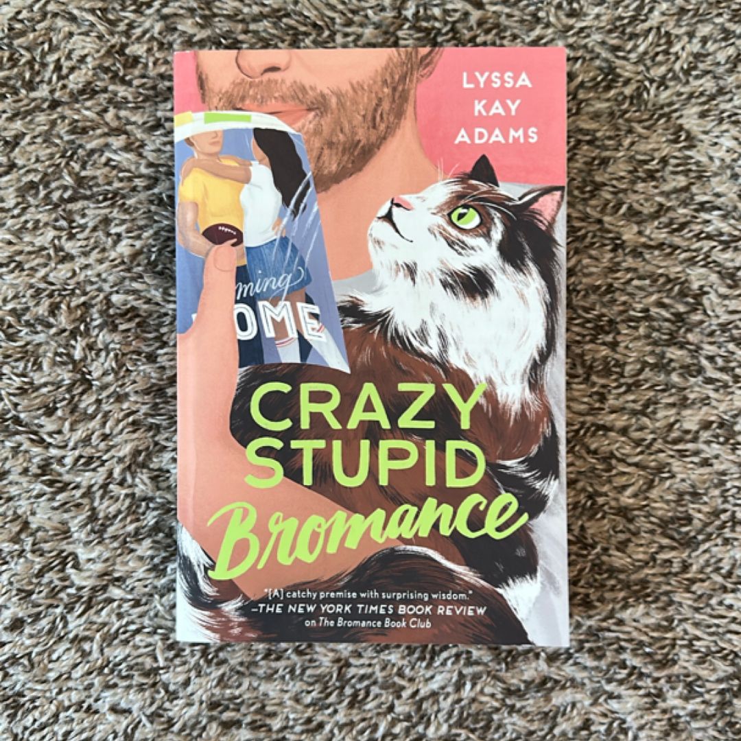 Crazy Stupid Bromance