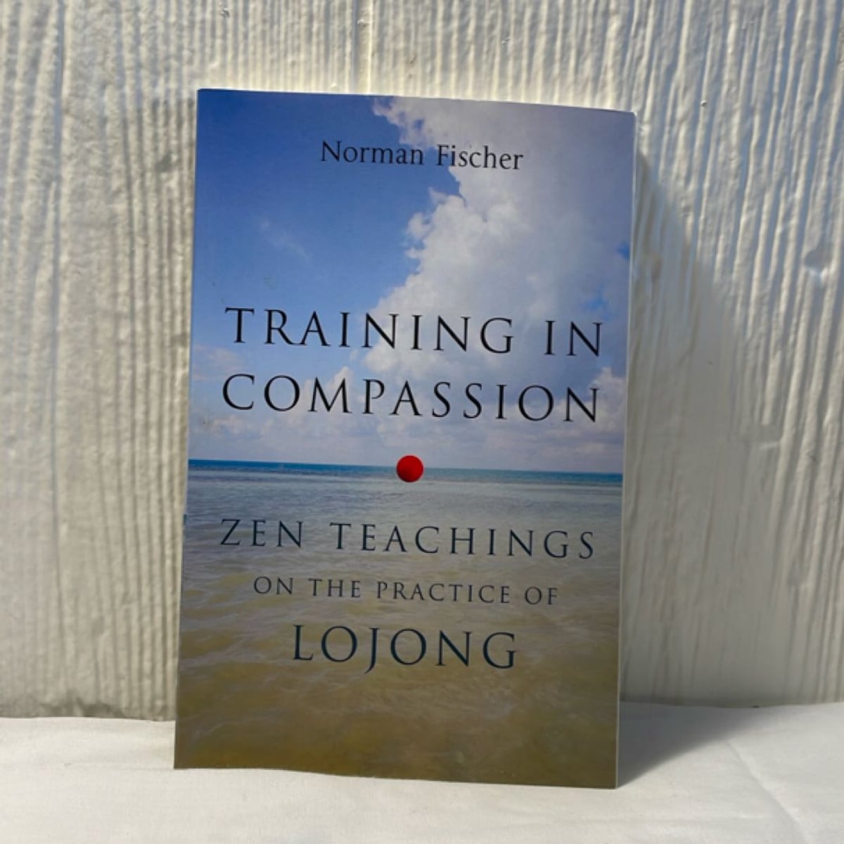 Training in Compassion by Norman Fischer