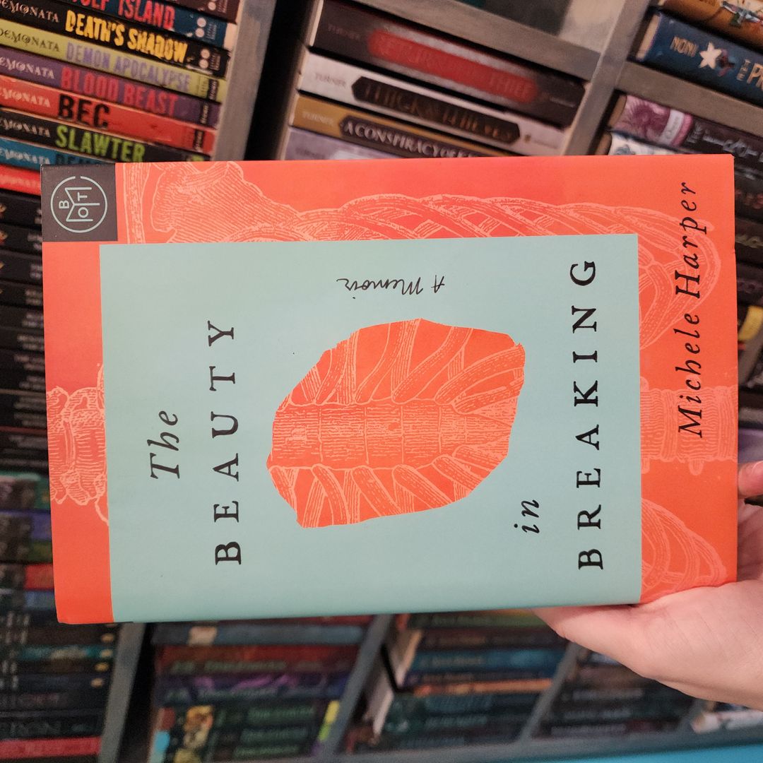 The Beauty in Breaking
